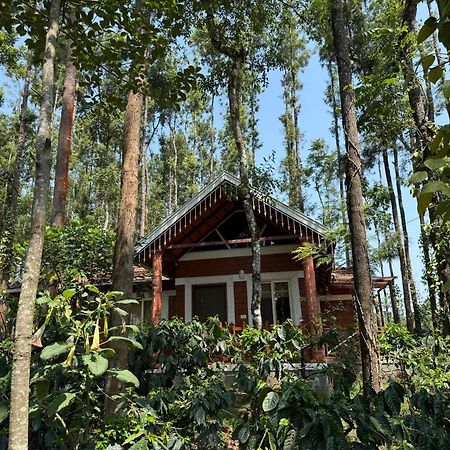 Coffee Grove Resort Чикмагалур Экстерьер фото