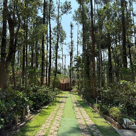 Coffee Grove Resort Чикмагалур Экстерьер фото
