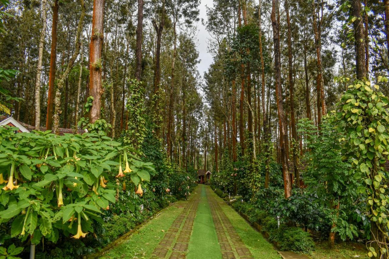 Nexstay Coffee Grove Resort Чикмагалур Экстерьер фото