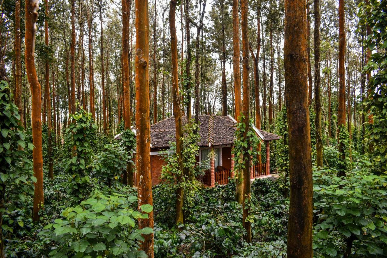 Coffee Grove Resort Чикмагалур Экстерьер фото