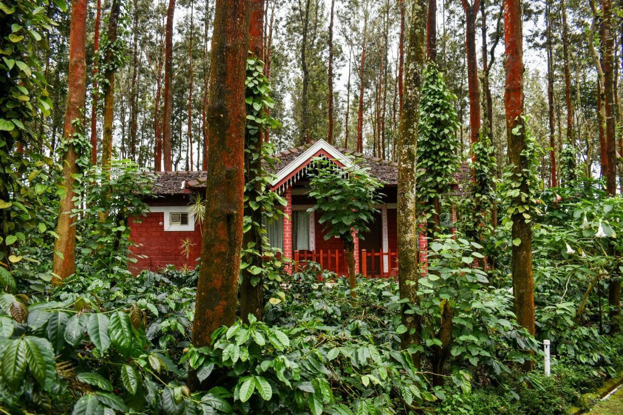 Coffee Grove Resort Чикмагалур Экстерьер фото