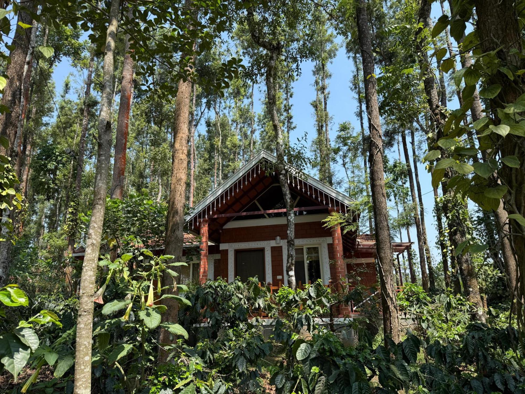 Coffee Grove Resort Чикмагалур Экстерьер фото