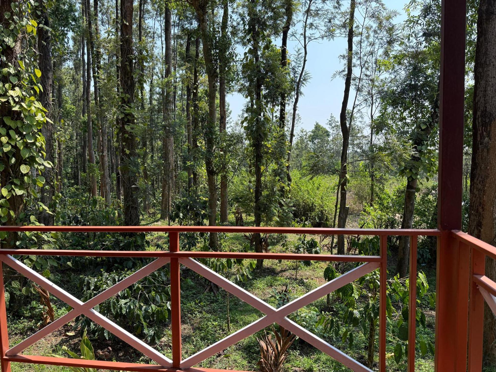 Coffee Grove Resort Чикмагалур Экстерьер фото