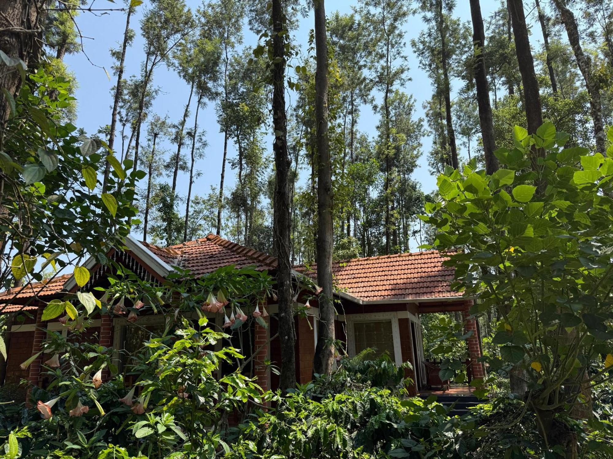 Coffee Grove Resort Чикмагалур Экстерьер фото