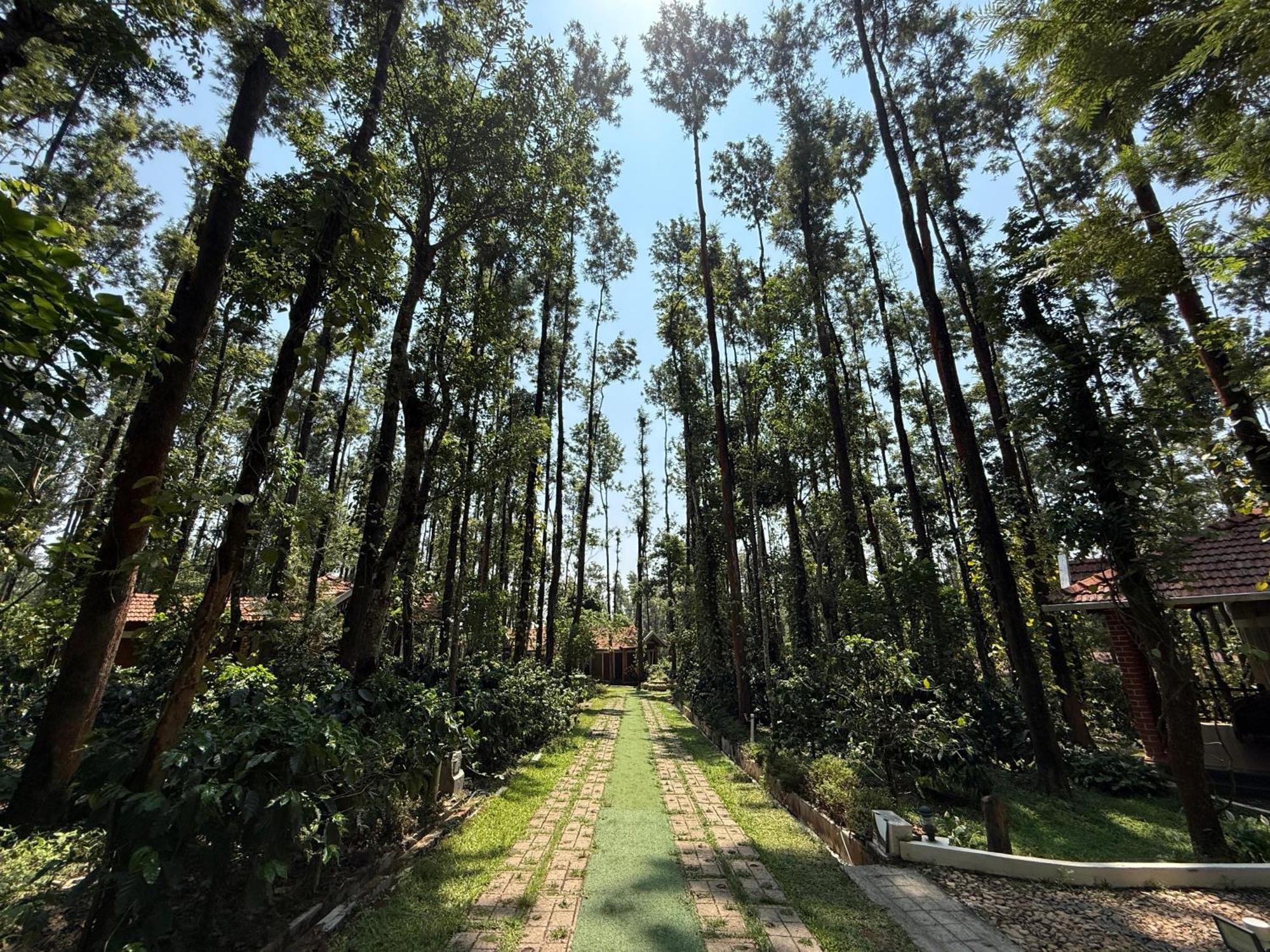 Coffee Grove Resort Чикмагалур Экстерьер фото