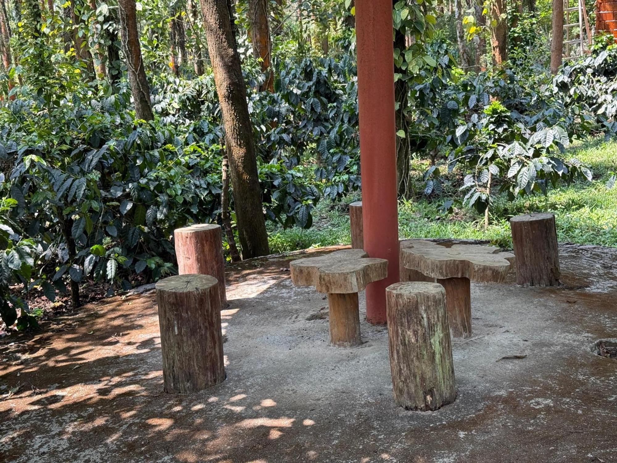Coffee Grove Resort Чикмагалур Экстерьер фото