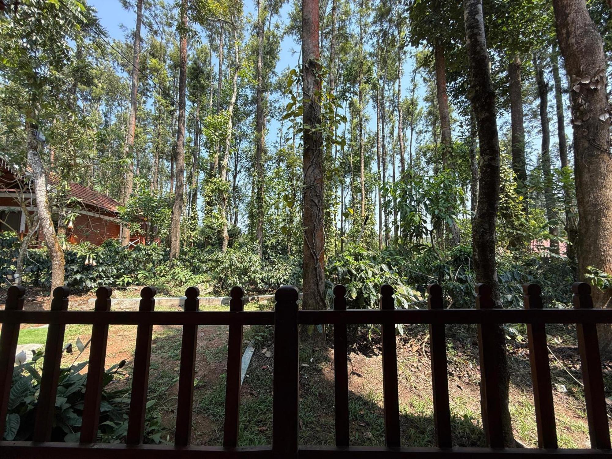 Coffee Grove Resort Чикмагалур Экстерьер фото