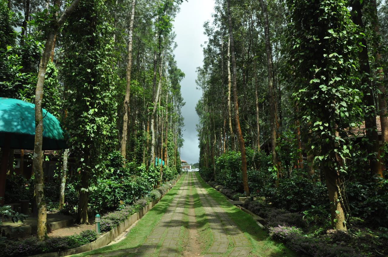 Coffee Grove Resort Чикмагалур Экстерьер фото